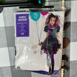 Haunted Harlequin Halloween Costume